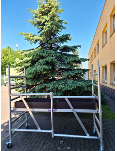 Drabex RS 1100 R przy drzewie iglastym